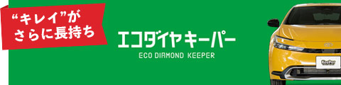 ECOプラスダイヤモンドキーパー